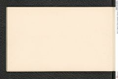 Seite 43, Tagebuch "Notizen Gruebgraben, Zöbing etc." (NHMW-PRAE-BBB-88)